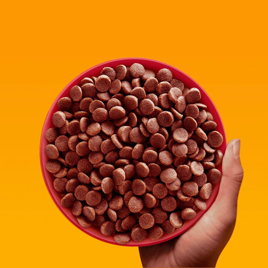 Pedigree Professional Nutrition Adult Sucha Karma Dla Psów Małych Ras