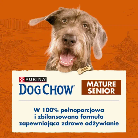 Purina Dog Chow Mature Senior 14kg Sucha Karma Dla Starszych Psów z Kurczakiem