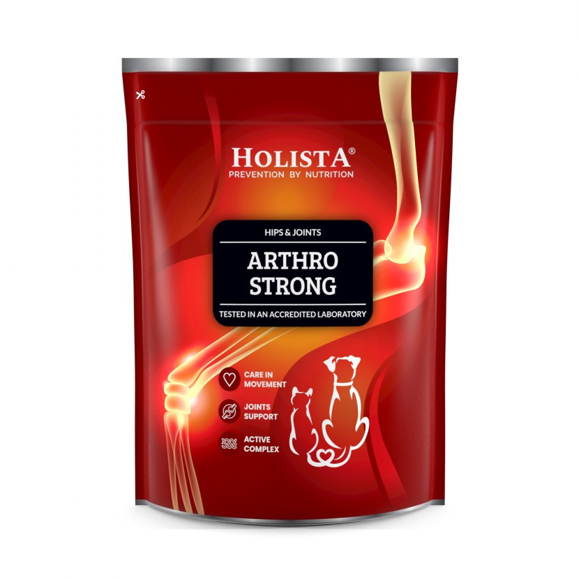 Holista Arthro Strong