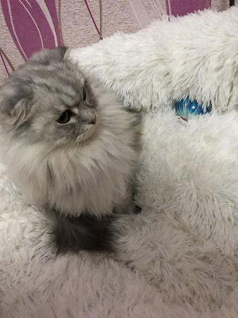 Legowisko Dla Psa I Kota Pluszowe 3XL 110cm Ciepłe Białe