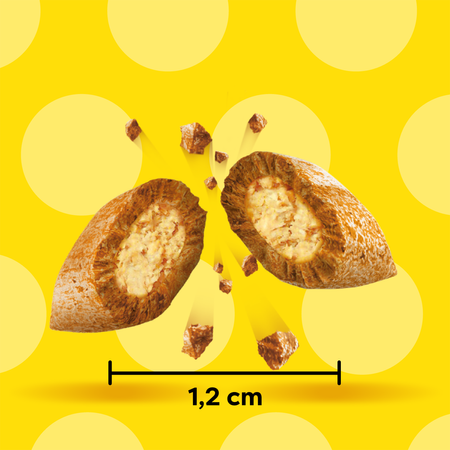 Dreamies z Pysznym Kurczakiem 6x60g (360g) Przysmaki dla kota