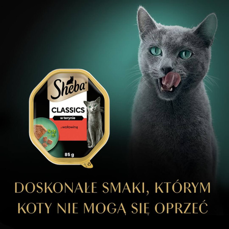 Sheba Classics 85g Z Wołowiną Mokra Karma Dla Kotów W Terynie