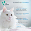 Suplementy dla psa i kota VetExpert Skin & Coat SKÓRA I SIERŚĆ 30 kapsułek