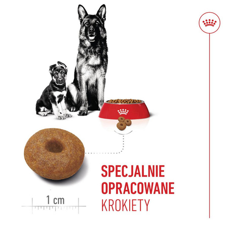 Royal Canin Maxi Starter Mother & Babydog 15kg Karma Sucha Dla Suk W Ciąży I Okresie Laktacji Oraz Szczeniąt Ras Dużych