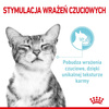ROYAL CANIN Sensory Mix Smell Taste Feel w Sosie Zestaw 12x85g Mokra Karma Dla Kotów Wybrednych