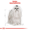 Royal Canin BHN Maltese Adult 1,5kg Karma Sucha Dla Psów Dorosłych Rasy Maltańczyk