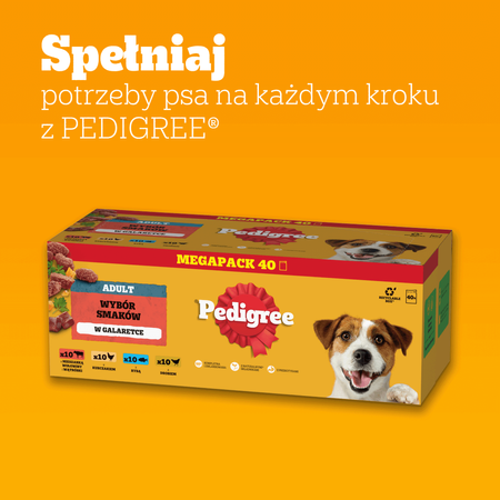 PEDIGREE Wybór Smaków w Galaretce 160 x100g saszetki Karma mokra dla psa