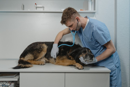 Miska Spowalniająca Jedzenie Dla Psa Kota Różowa