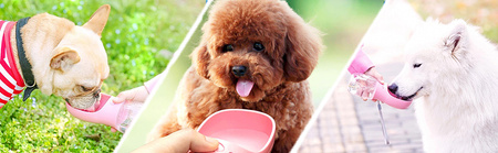 Przenośny dozownik wody dla psa, miska dla picia 550ml kolor RÓŻOWY