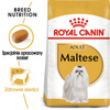 Royal Canin BHN Maltese Adult 1,5kg Karma Sucha Dla Psów Dorosłych Rasy Maltańczyk