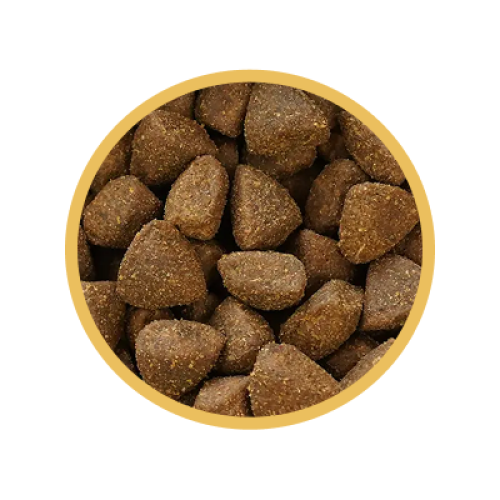 Biofeed Euphoria Fresh Sucha Karma Dla Szczeniąt