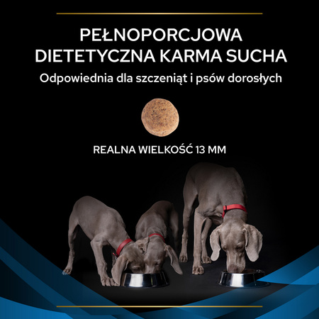 Purina Pro Plan Veterinary Diets Dermatosis Sucha Karma Dla Psa 12kg Zdrowa Skóra I Sierść