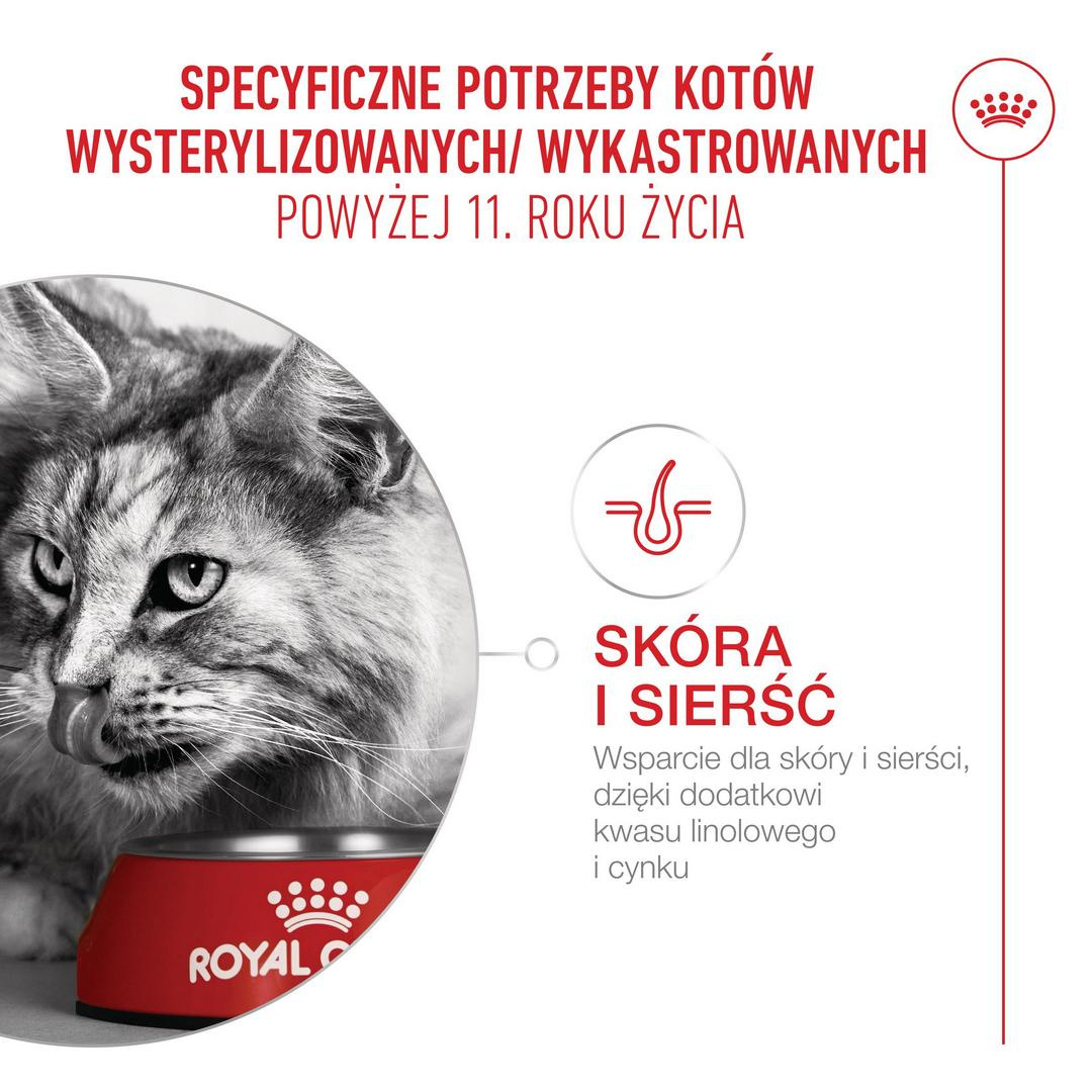 Sucha karma ROYAL CANIN® AGEING 11+ opracowana została specjalnie dla kotów w wieku powyżej 11 lat.
