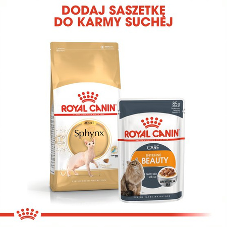 ROYAL CANIN Sphynx Adult 10kg karma sucha dla kotów dorosłych rasy sfinks