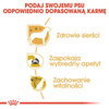 ROYAL CANIN Adult Yorkshire Terrier Sucha Karma Dla Yorka 2x500g