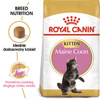 Royal Canin FBN Maine Coon Kitten 400g Karma Sucha Dla Kociąt Do 15 Miesiąca Rasy Maine Coon