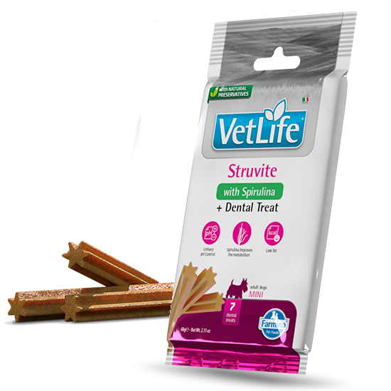 dental treat Struvite mini