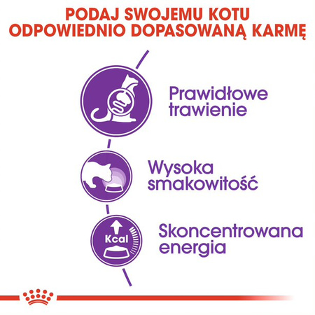ROYAL CANIN FHN Sensible33 Adult 4kg sucha karma dla dorosłych kotów z wrażliwym układem pokarmowym