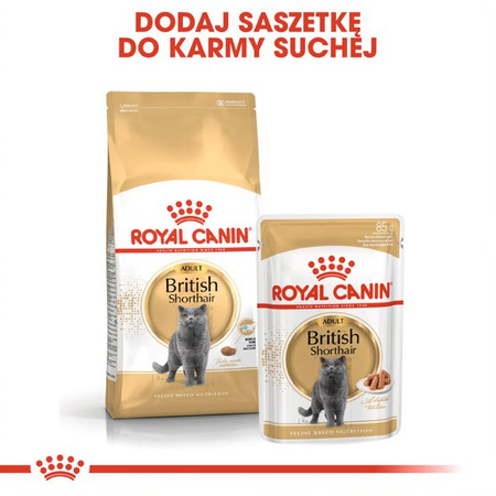 Royal Canin FBN British Shorthair 2kg Karma Sucha Dla Kotów Dorosłych Rasy Brytyjski Krótkowłosy