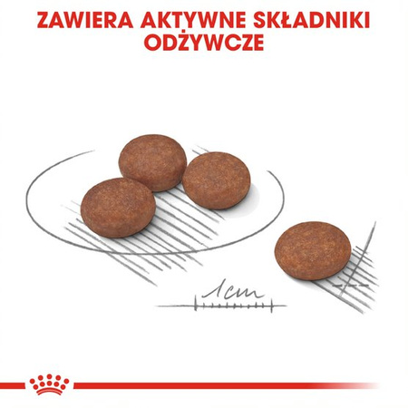 ROYAL CANIN CCN Mini Digestive Care 3kg karma sucha dla psów dorosłych, ras małych o wrażliwym przewodzie pokarmowym
