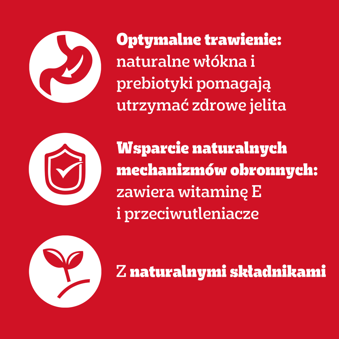 Pedigree Adult Mokra Karma Dla Psa 80x100g Wybór Smaków W Galaretce