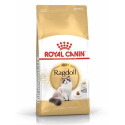 Royal Canin FBN Ragdol Adult 10kg Karma Sucha Dla Kotów Dorosłych Rasy Ragdoll