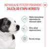 Royal Canin Mini Puppy 48x85g Mokra Karma w Sosie Dla Szczeniąt Do 10 Miesiąca Małych Ras