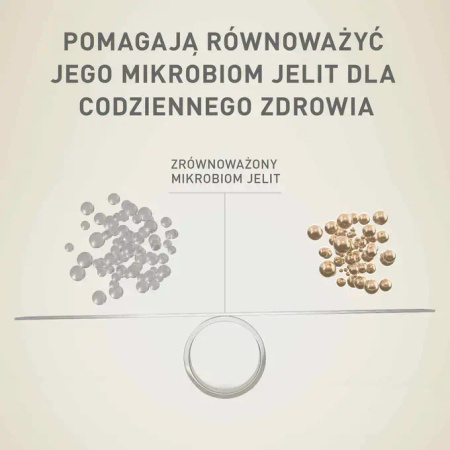 Purina ONE Mini Sensitive z Łososiem i Ryżem 2x800g Sucha Karma Dla Psów Małych Ras