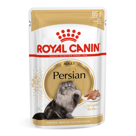 Royal Canin FBN Persian Adult 24x85g Karma Mokra Pasztet Dla Kotów Dorosłych Rasy Pers