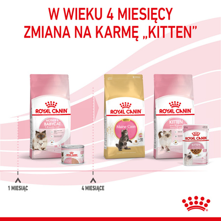 Royal Canin Mother&Babycat Instinctive Mousse 12x195g Karma Mokra Mus Dla Kotek W Okresie Ciąży Laktacji i Kociąt