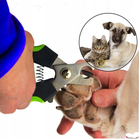 Obcinaczki Do Pazurów Dla Psa Kota Pilnik Gratis
