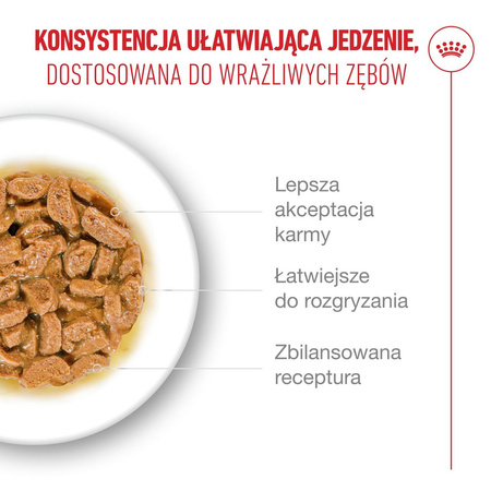 Royal Canin Ageing 15+ Karma Mokra 6x85g Kawałki w Sosie Dla Kotów Dojrzałych Po 15 Roku Życia