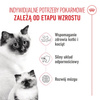 Royal Canin Mother&Babycat 2kg Karma Sucha Dla Kotek W Okresie Ciąży Laktacji i Kociąt Od 1 Do 4 Miesiąca Życia