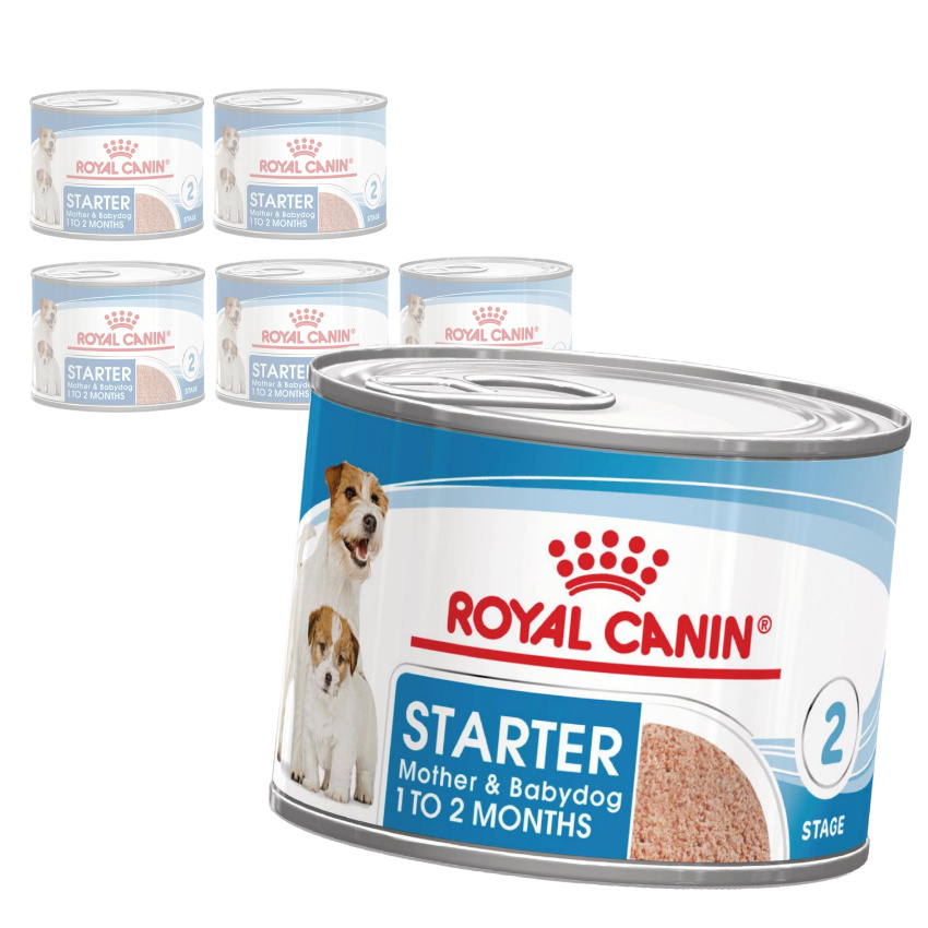 Royal Canin Starter Mousse Mother & Babydog Karma Mokra Mus