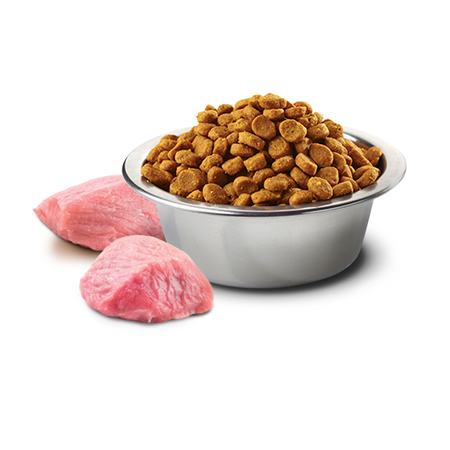 Farmina N&D Cat Prime Chicken Pomegranate Kitten 5kg Sucha Karma Dla Kociąt Kurczak z Granatem