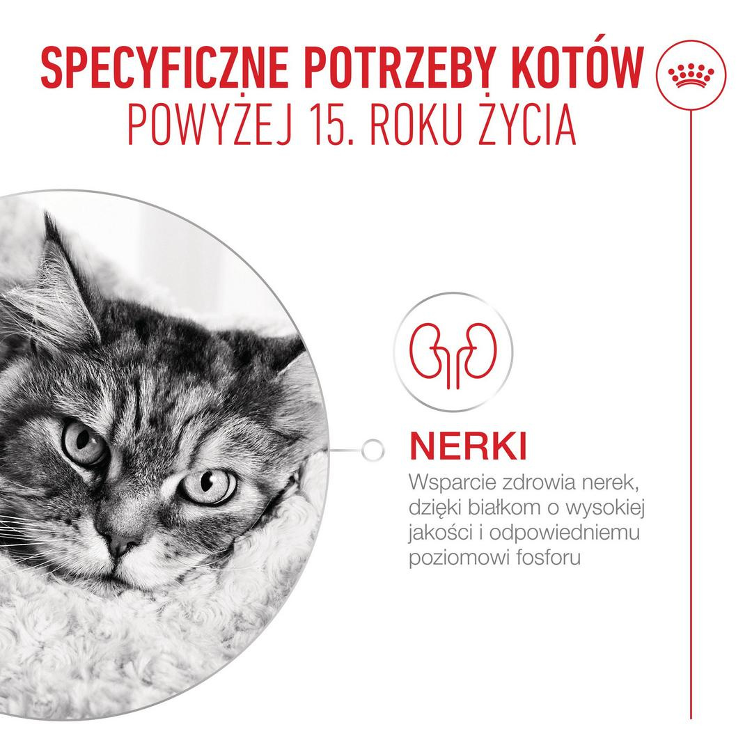Sucha karma ROYAL CANIN® AGEING 15+ opracowana została specjalnie dla kotów w wieku powyżej 11 lat.