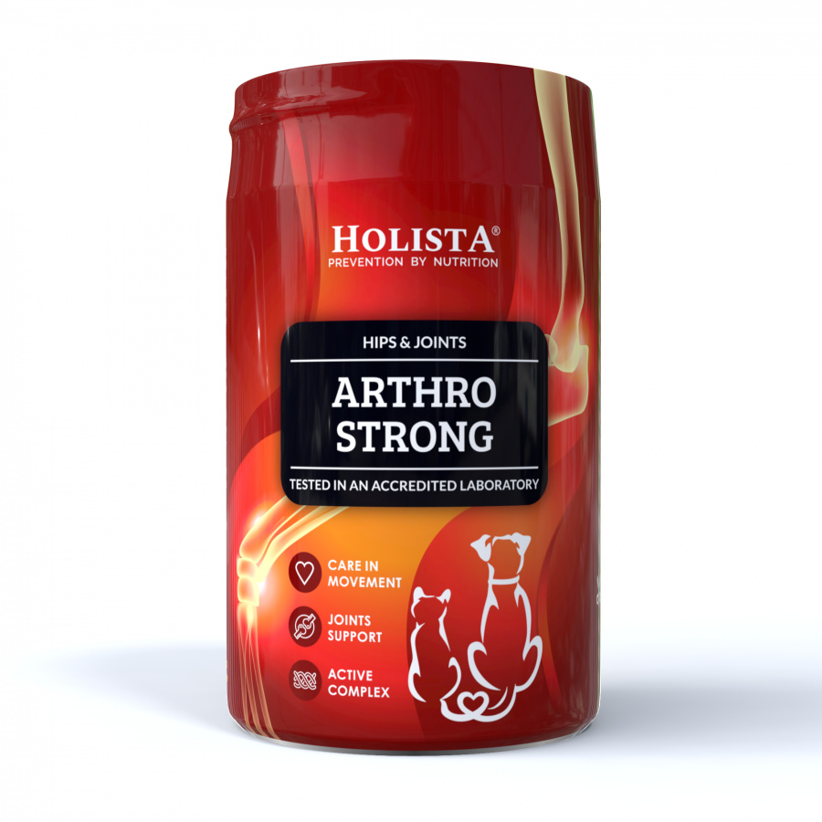Holista Arthro Strong