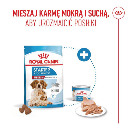 ROYAL CANIN Medium Starter Mother&Babydog 4kg Karma Sucha Dla Suk W Ciąży I Okresie Laktacji Oraz Szczeniąt Ras Średnich