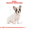 Royal Canin BHN French Bulldog Puppy 1kg Karma Sucha Dla Szczeniąt Do 12 Miesiąca Rasy Bulldog Francuski