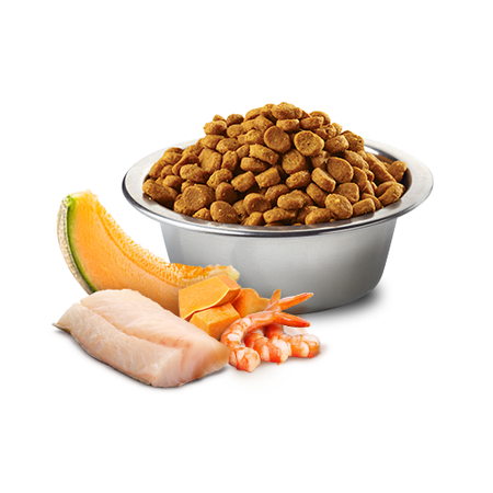 Farmina N&D Cat Ocean Cod Shrimp Kitten 1,5kg Sucha Karma Dla Kociąt Dorsz Krewetki Dynia Kantalupa