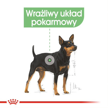 Royal Canin CCN Digestive Care 48x85g Karma Mokra Pasztet Dla Psów o Wrażliwym Przewodzie Pokarmowym