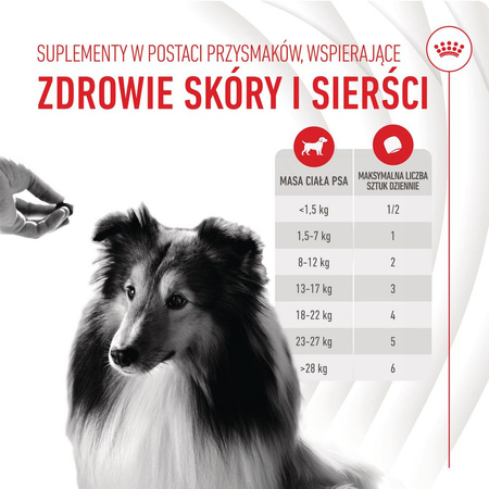 Royal Canin Supplements Dog Skin & Coat Adult 240g Suplementy Dla Psów Dorosłych w Postaci Przysmaków Wsparcie Zdrowia Skóry i Sierści