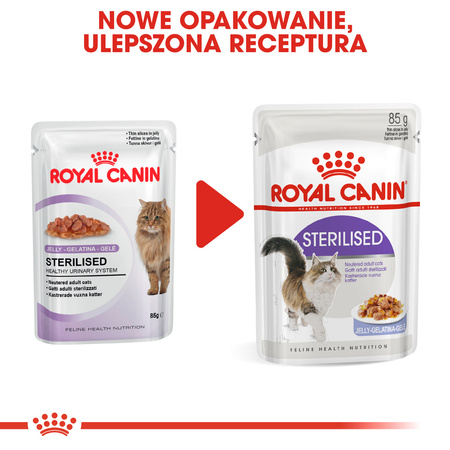 Royal Canin FHN Sterilised w Galaretce 6x85g Mokra Karma Dla Kotów Sterylizowanych
