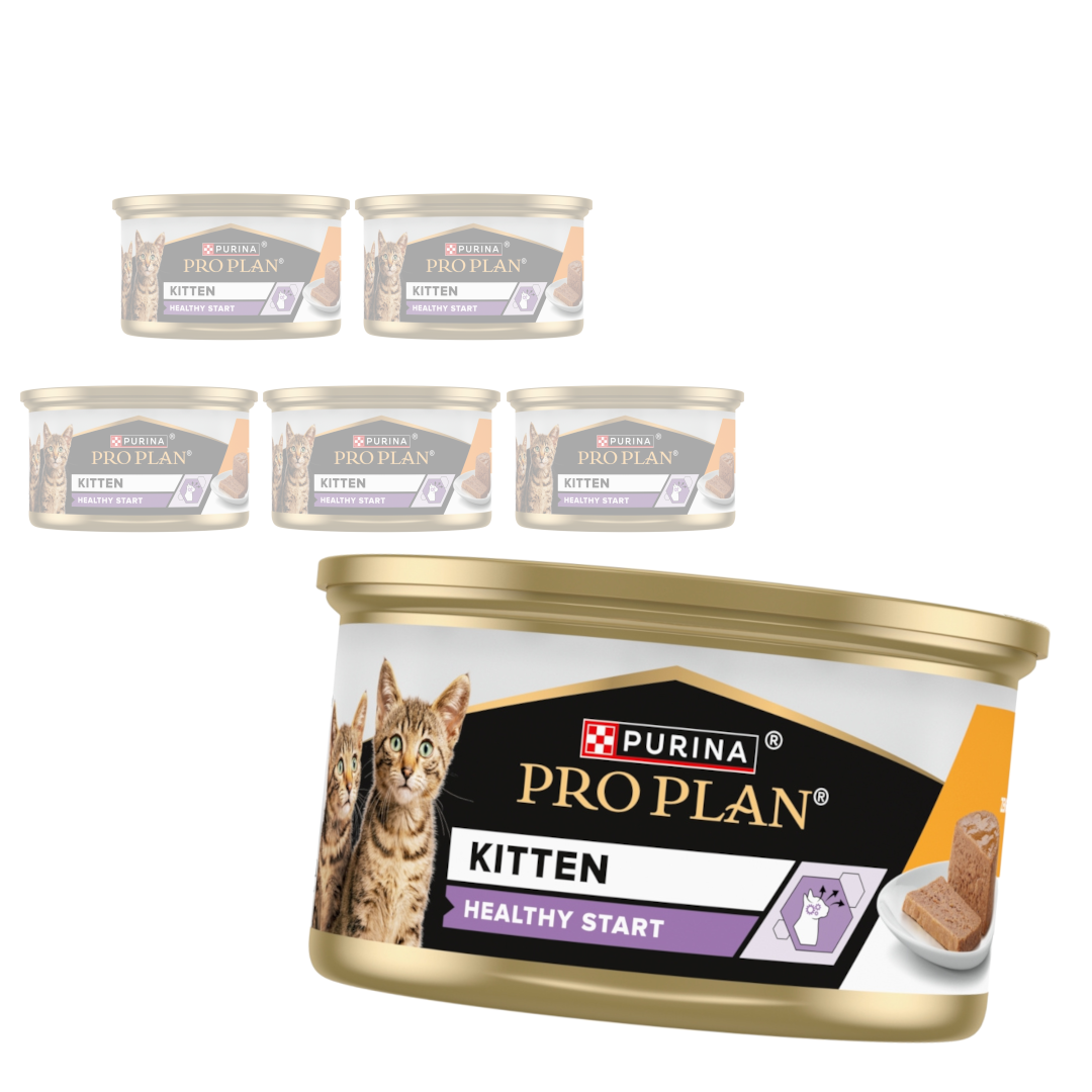 Pro Plan Kitten Healthy Start karma mokra dla kociąt.