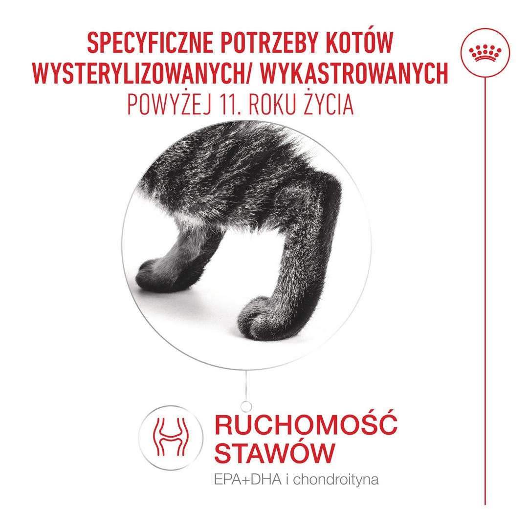 ROYAL CANIN Ageing Sterilised 11+ karma dla kotów po 11 roku życia