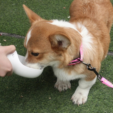 Przenośny dozownik wody dla psa, miska dla picia 550ml kolor BIAŁY