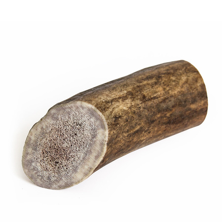 RECOSNACK Antler dog chew - gryzak z poroża jelenia M