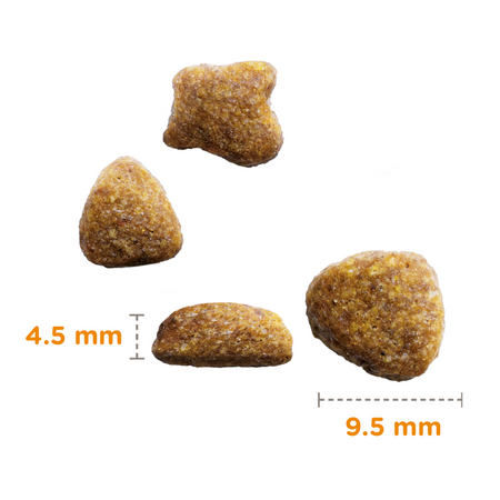 Sucha Karma Iams for Vitality Hairball Dla Dorosłych I Starszych Kotów Ze Świeżym Kurczakiem Zwalcza Kule Włosowe 3kg