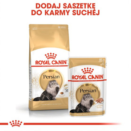 Royal Canin FBN Persian Adult 24x85g Karma Mokra Pasztet Dla Kotów Dorosłych Rasy Pers