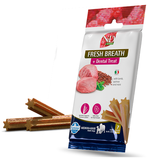 dental treat Fresh Breath medium & maxi